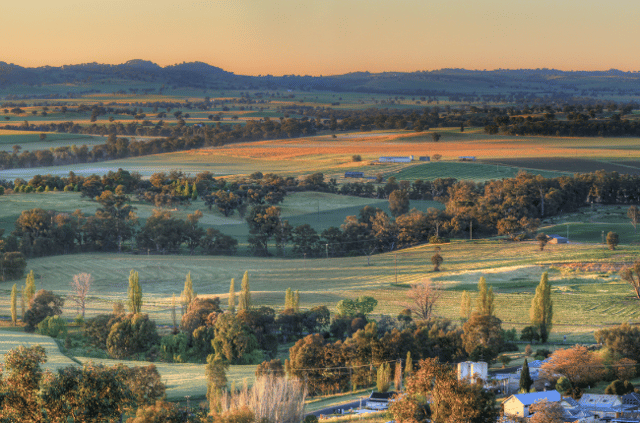 Country New South Wales has its appeals!