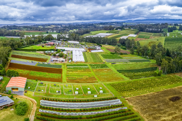 Family farm